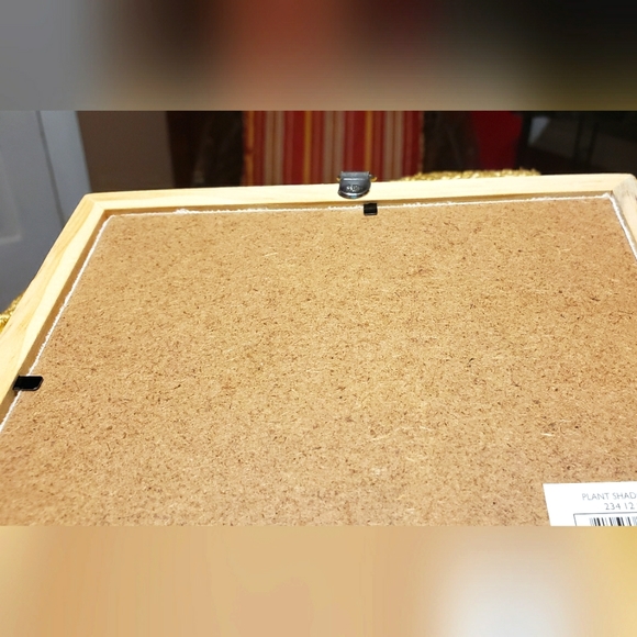Plant Shadow Box - Picture 8 of 10